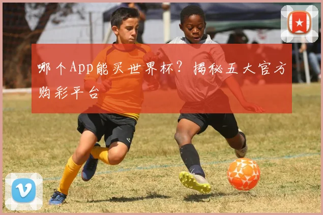 哪个App能买世界杯？揭秘五大官方购彩平台