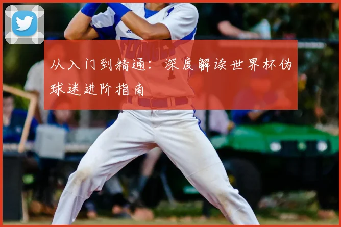 从入门到精通:深度解读世界杯伪球迷进阶指南