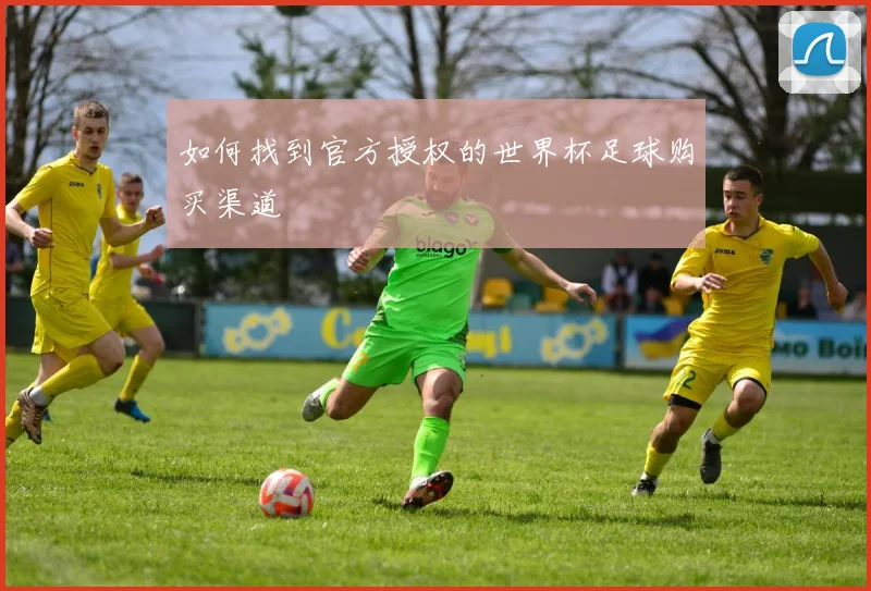 如何找到官方授权的世界杯足球购买渠道