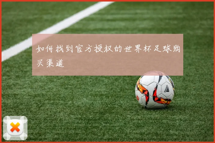 如何找到官方授权的世界杯足球购买渠道