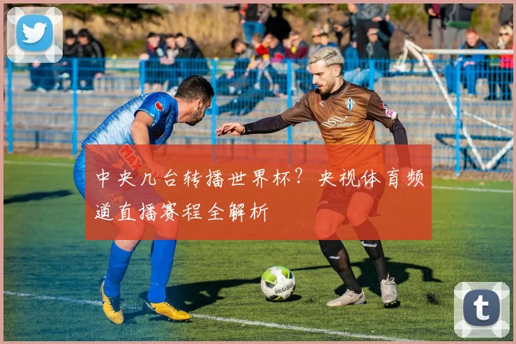 中央几台转播世界杯？央视体育频道直播赛程全解析