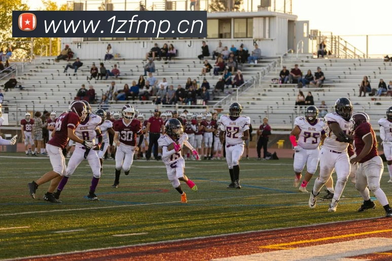 App Interface Preview