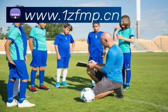 九游j9官方入口APP 封面图